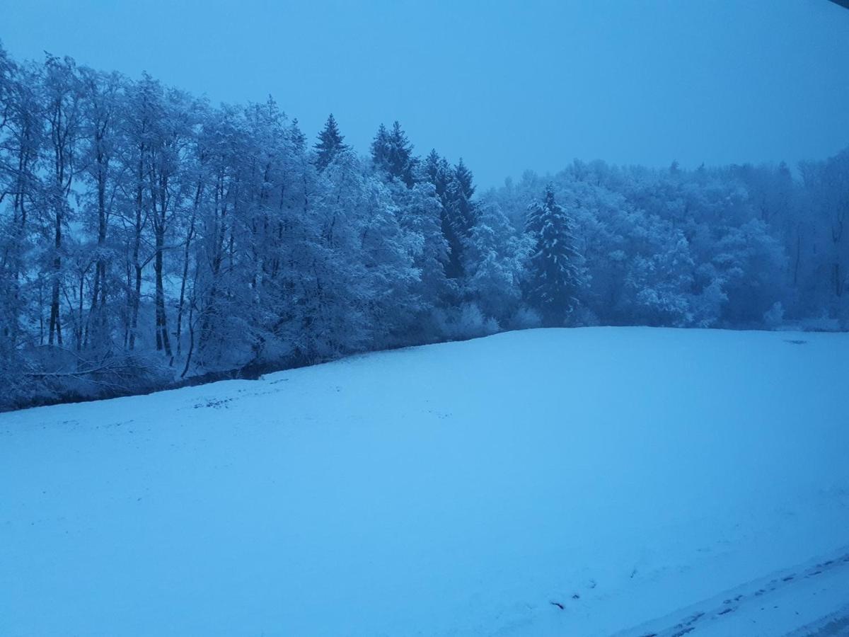 Fewo Hof Elbbachtal Вестербург Екстериор снимка